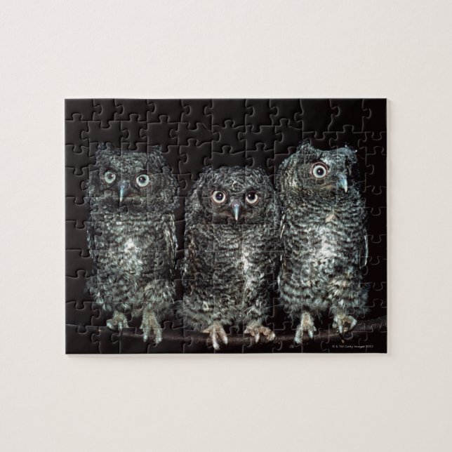 three owls jigsaw puzzle (Horizontal)
