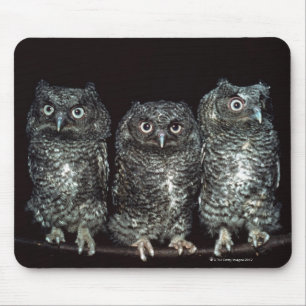 three owls mouse pad