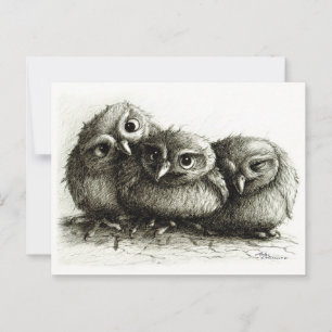 Three Owls - Young and Cute Postcard
