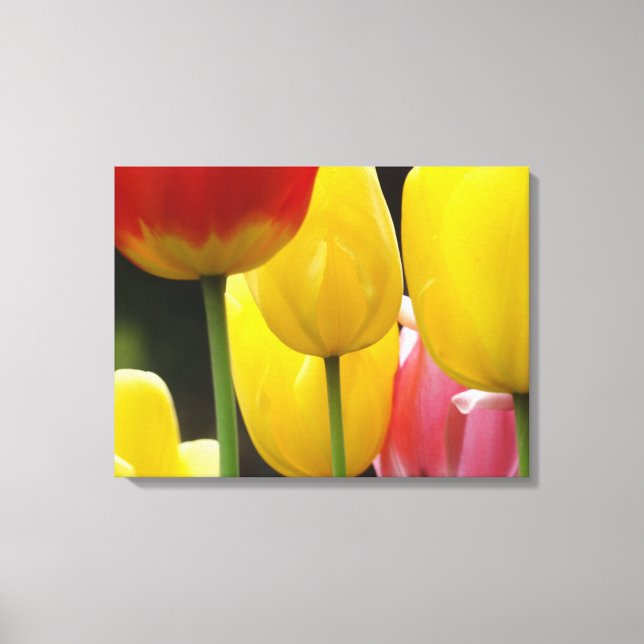 Three Panel Canvas prints Photography Tulips (Front)