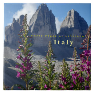 Three Peaks of Lavaredo Wildflowers Italy Tile