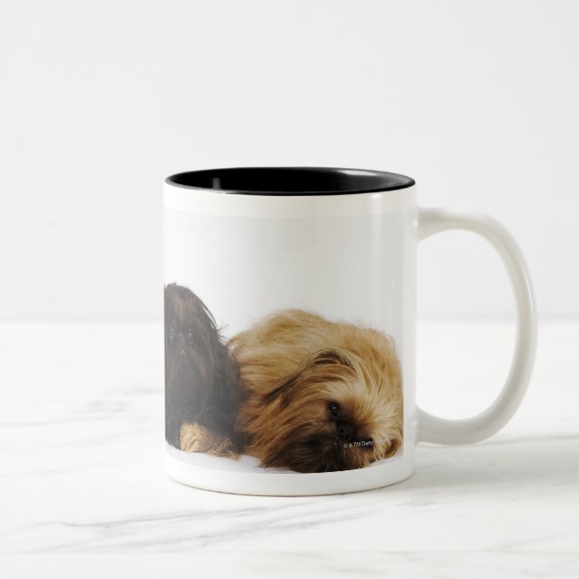 Three Pekingese dogs and single Pug lying down Two-Tone Coffee Mug (Right)