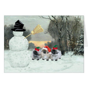 Three Pekingese Puppies Christmas