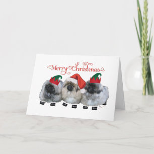 Three Pekingese Puppies Christmas Holiday Card