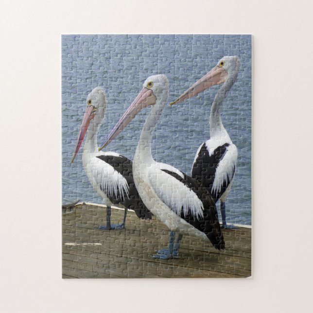 Three Pelicans on a Dock Photo Puzzle (Vertical)