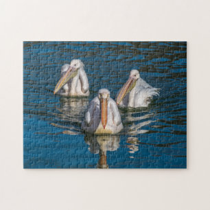 Three pelicans photo puzzle