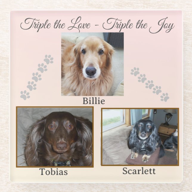 Three Pets, One Love Story Glass Coaster (Front)