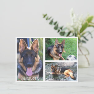 Three Photo And Name Card