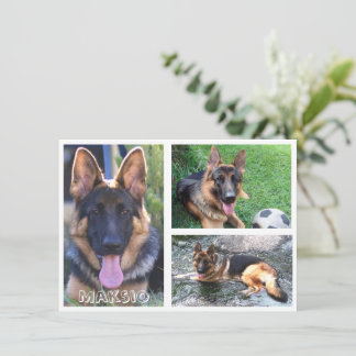 Three Photo And Name Card