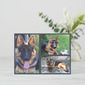 Three Photo And Name Card