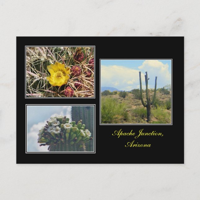 three photos from Apache Junction Arizona postcard (Front)