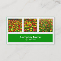 Three Photos Plus One - Grass Green