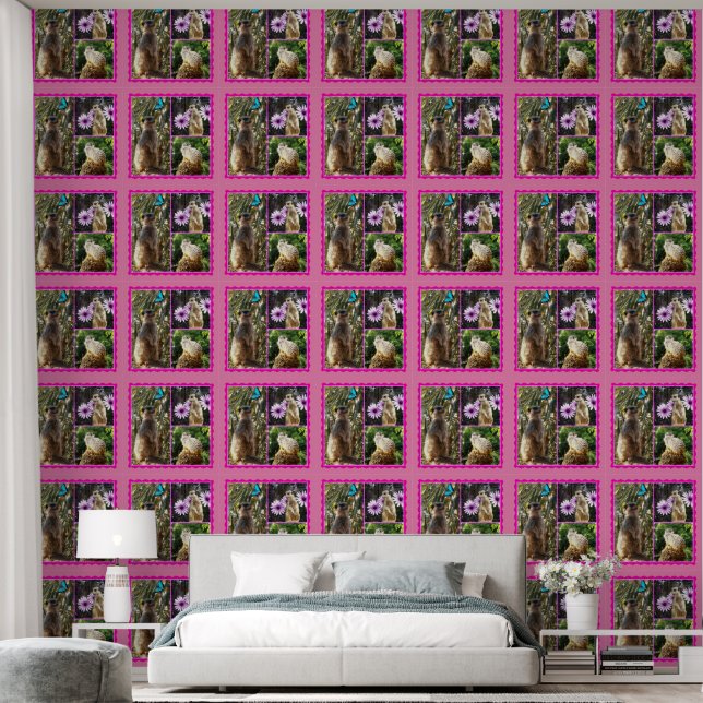 Three Picture Meerkat Photo Collage, Wallpaper (Bedroom)