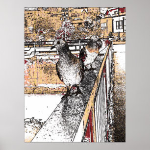 Three Pigeons by Hythe Canal  Poster