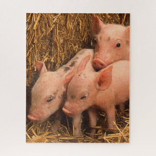 three piglets jigsaw puzzle