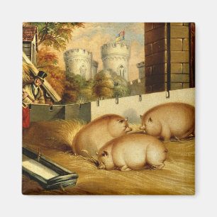Three Pigs with Castle in the Background Magnet
