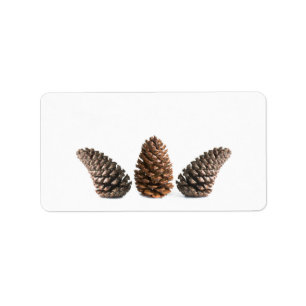 Three pinecones label