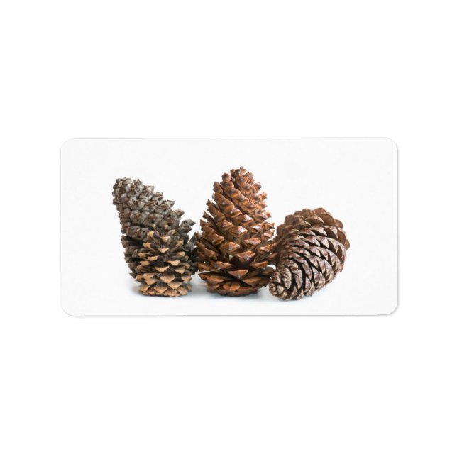 Three pinecones label (Front)