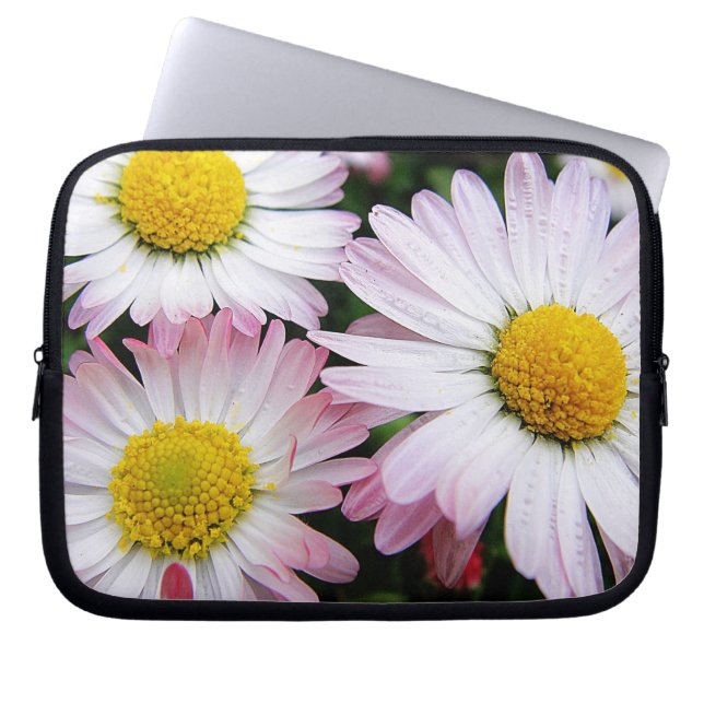 Three pink and white daisies laptop sleeve (Front)