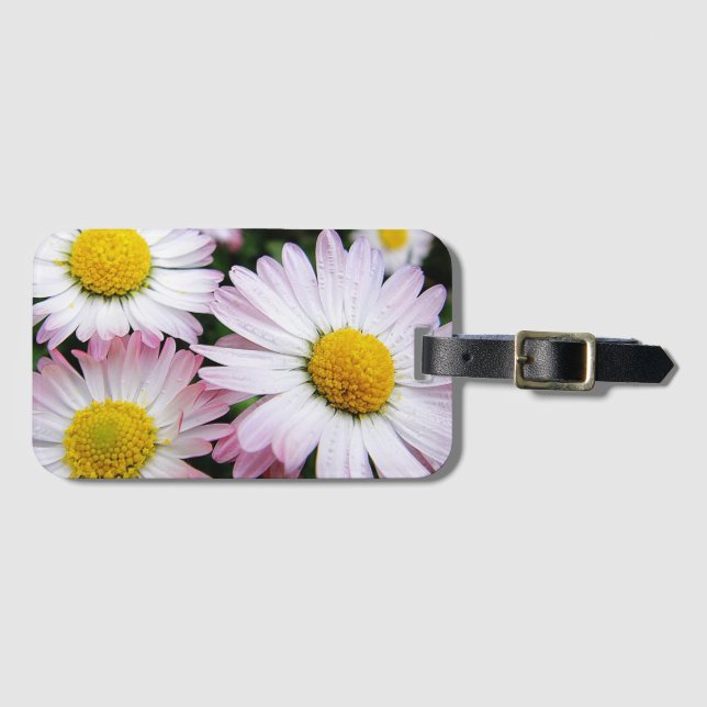 Three pink and white daisies luggage tag (Front Horizontal)