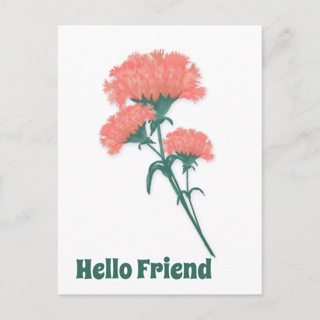 Three Pink Carnations, Hello Friend Postcard (Front)