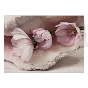 Three Pink Cosmos