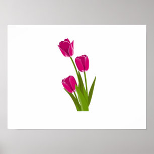 Three Pink Tulips turning Towards Left Poster