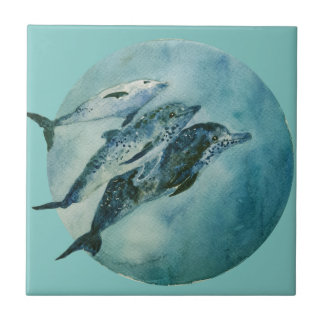 Three Playful Dolphins  Tile