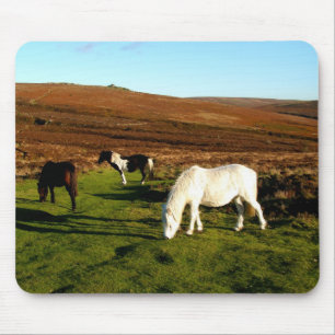 Three ponies on Dartmoor Mouse Pad