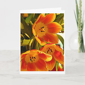 Three Poppies - Shine Brightly Card