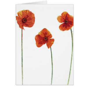 Three Poppy's