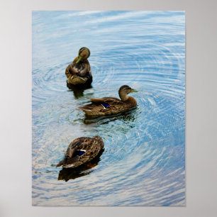 Three Poster
