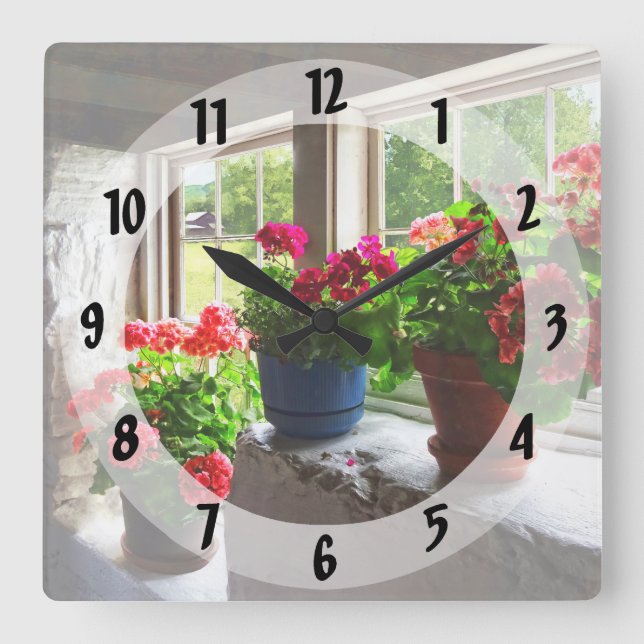 Three Pots of Geraniums on Windowsill Square Wall Clock (Front)