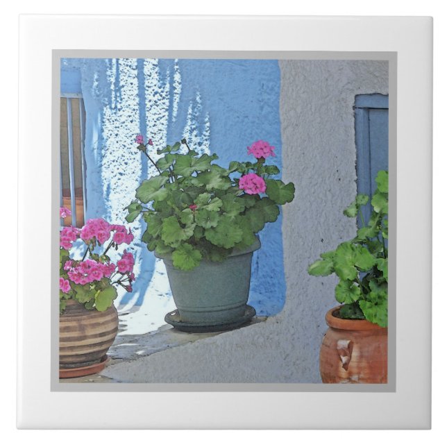 THREE POTTED PINK GERANIUMS/BLUE WALL TILE (Front)