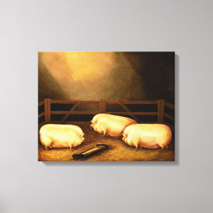 Three Prize Pigs outside a Sty Canvas Print