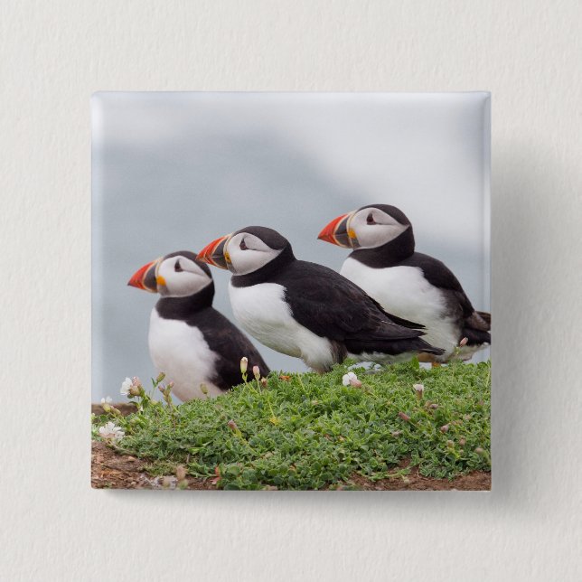 Three Puffins 15 Cm Square Badge (Front)