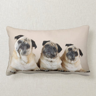 Three Pugs In A Row Lumbar Cushion