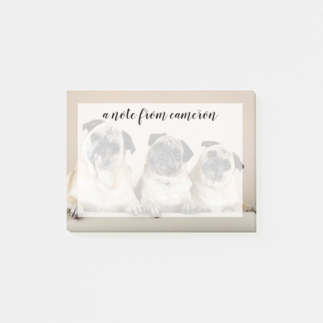 Three Pugs In A Row Post-it Notes (Front)
