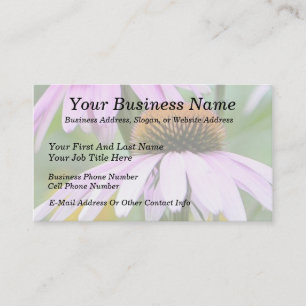 Three Purple Coneflowers Business Card