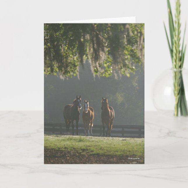 Three Quarter Horses Standing in the Mist Card (Front)