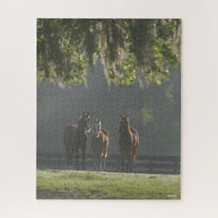 Three Quarter Horses Standing in the Mist Jigsaw Puzzle