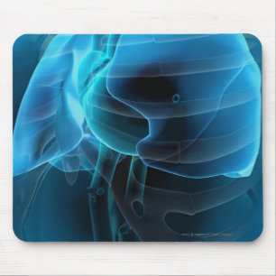 Three quarter view of the heart and lungs mouse pad