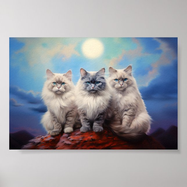 Three Ragdoll cats Poster (Front)