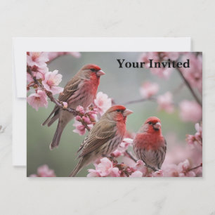 Three Red Finches On Blossom Tree, Invitation