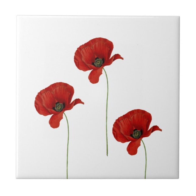 Three Red Poppies Ceramic Tile (Front)