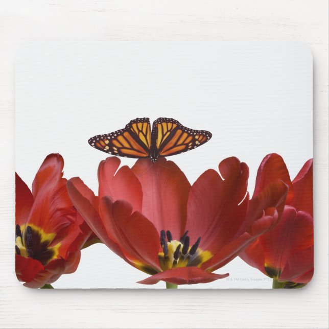 Three red tulips and a monarch butterfly against mouse pad (Front)