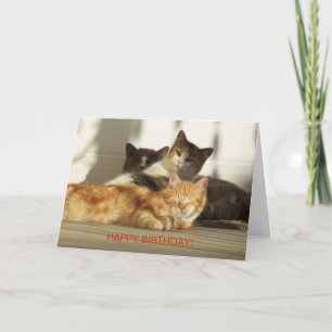 Three Relaxing Cats, Birthday Card