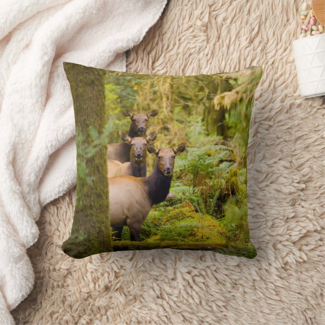 Three Roosevelt Elk Cows Looking At View Cushion (Blanket)