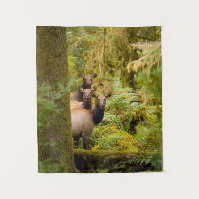 Three Roosevelt Elk Cows Looking At View Tapestry (Front)