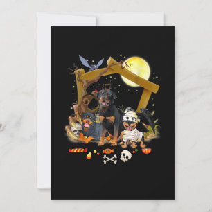Three Rottweiler Dogs Halloween Dog Halloween Gift Announcement